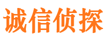 桐梓侦探公司